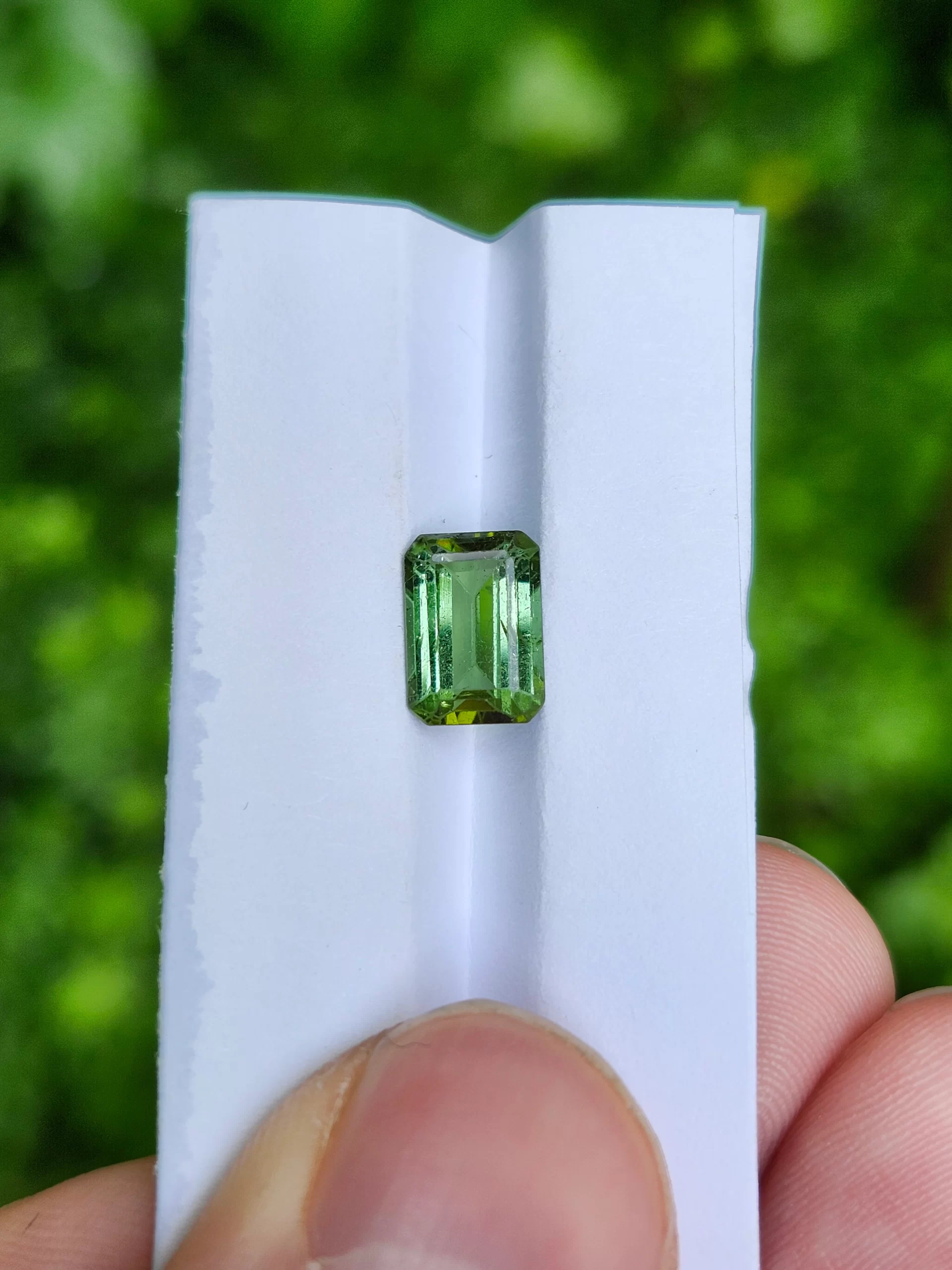 Green Tourmaline in the Sun