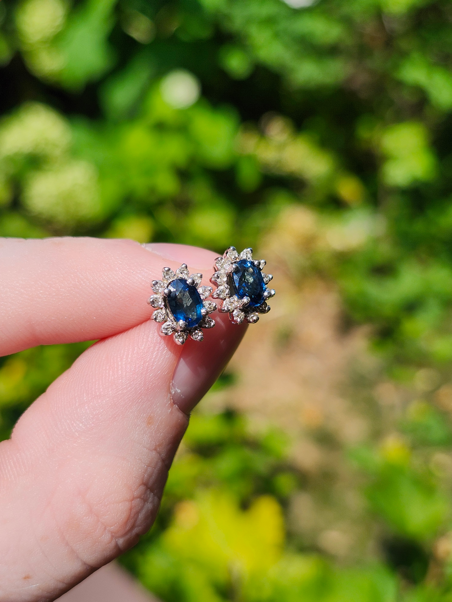 14k White Gold Sapphire Earrings